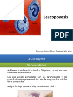 04 Leucopoyesis