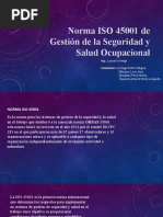 Norma ISO 45001 de Gestión de La Seguridad