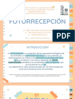 FOTORRECEPCIÓN