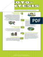  Fotosíntesis Biología Infografía