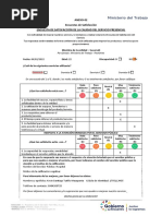 Encuestas de Satisfaccion Anexo 02 1