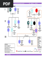 Ejemplo de GENOGRAMA ESTRUCTURAL 