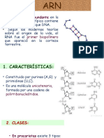 Más Abundante: Primer Biopolímero