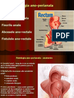 CURS Patologia Ano-Perineala 1