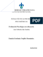 Fichas Técnicas Pruebas