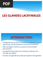 Les Glandes Lacrymales