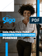 (Guía) Convietete en Auditor Forense - Siigo