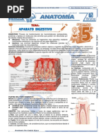 Anatomía Guia Verano 2 2021