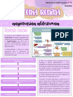 Trabajo de Investigación Sraa