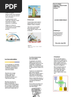 Triptico Biocombustibles