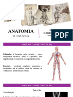 Sistema Cardiovascular