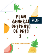 Plan General Descenso de Peso Nº2