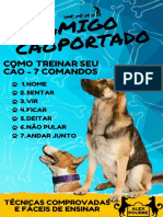 2 Comandos para Treinar Seu Cão