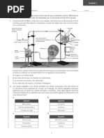 Prueba Saber: Nombre: - Fecha: - Curso