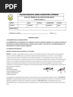 COLMUNICIPAL Guia de Trabajo N°3 Cualidades Fisicas (N°2)