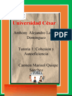 Universidad César Vallejo