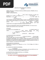 10.25. Demanda Por Retencion Indebida de Hijo