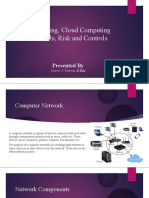 Networking, Cloud Computing, Protocol, Risk and Controls