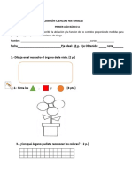 Evaluación Ciencias Naturales - Sentidos