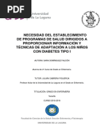 Necesidad Del Establecimiento de Programas de Salud, Dirigidas A Proporcionar Informacion y Tecnicas de Adaptacion A Los Ninos Con Diabetes Tipo I