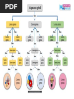 Plantilla Mapa Conceptual 27