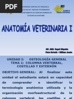 Columna Vertebral, Costillas y Ester Non PDF