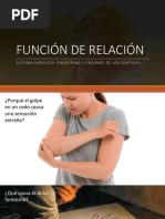 Función de Relacion - Nervioso