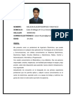 CV Nelson Barrios Yanayaco