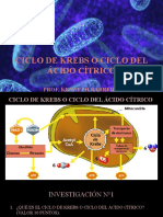 Ciclo de Krebs o Ciclo Del Ácido Cítrico. (Prof. Kenneth Barrera Moreno) .