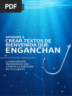 Ebook Aprende A Crear Textos de Bienvenida Que Enganchan