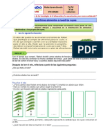 5to Grado 29-09 Repartimos Alimentos A Nuestros Cuyes