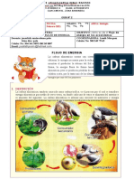 Guia de Septimo Flujo de Energia