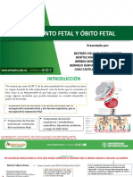 Sufrimiento Fetal y Óbito