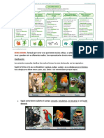 Clasificacion de Los Seres Vivos