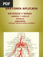 Anatomia Aplicada 4º Arterias y Venas Tronco