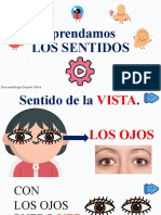 Los Sentidos