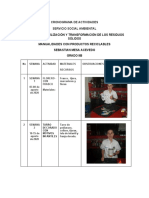 Cronograma de Actividades