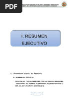 Resumen Ejecutivo