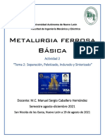 Metalurgia Ferrosa Actividad Fundamental 2