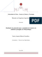 Mestrado-Engenharia Agronómica-Guerra Joaquim Mecuve Govanhica-Avaliação Do Potencial para A Produção de Tomate...