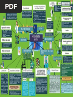 MAPA MENTAL, Colecistitis Aguda - HFC