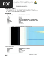 Resumen Ejecutivo