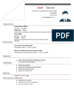 Curriculum Jefe de Recursos Humanos