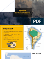 Amazon Forest Fire