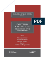 TOMO 1 - Doctrina y Estrategia Del CCCN - PRIMERA PARTE - Calvo Costa - La Ley-2016.