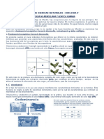 9° Grado - Guia de Biologia - Herencia No Mendeliana