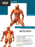 Miologia