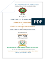 Seminar Documentation Format