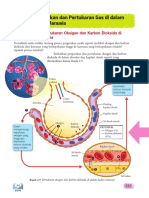 Pergerakan Dan Pertukaran Gas Di Dalam Badan Manusia