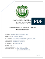 Administration of Justice With Regard To Civil and Criminal Justice